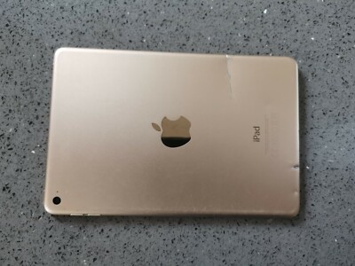 Apple iPad mini 4 64GB, Wi-Fi, 7.9in - Gold 888462368322 | eBay
