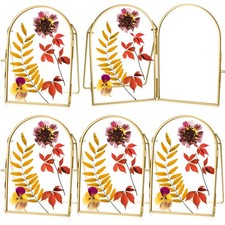 4 Pcs 4 x 6 Inch Double Glass Frame for Pressed Flowers Vintage Metal Gold Fl...