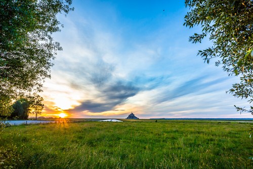Grassy Field under a Cloudy Sky Print Premium Poster High Quality choose sizes - Picture 4 of 4