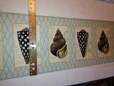 SHELLS ON A BEACH PREPASTED LIGHT BLUE & TAN BATHROOM WALLPAPER BORDER # RG3926B