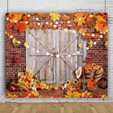 Christmas Window Wonderland Backdrop 10x8ft Red Xmas Tree Kids Photography Sn...