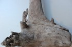 Bild 3 von 6
