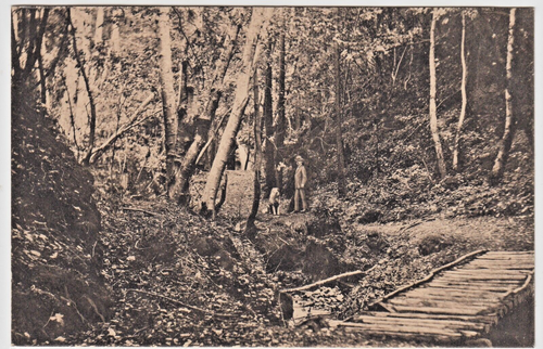 Cascades, Mill Valley CA Kalifornien Vintage Sepia Kollotypie Postkarte