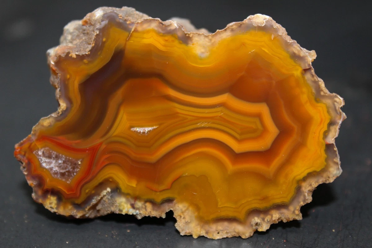Condor Agate for sale | eBay