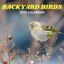 Backyard Birds 2026 Calendar Wall 12x24 Inch Open Large Grid Photography