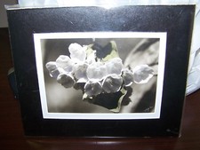 SIGNED PRINT OF WHITE FLOWERS BY JOHN GATES PHOTOGRAPHER OF ROSCOE, PA