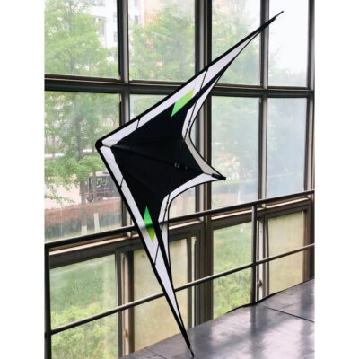 Freilein Black Feather 2 Line Stunt Kite 2.4m Professional Acrobatic Kite PC31