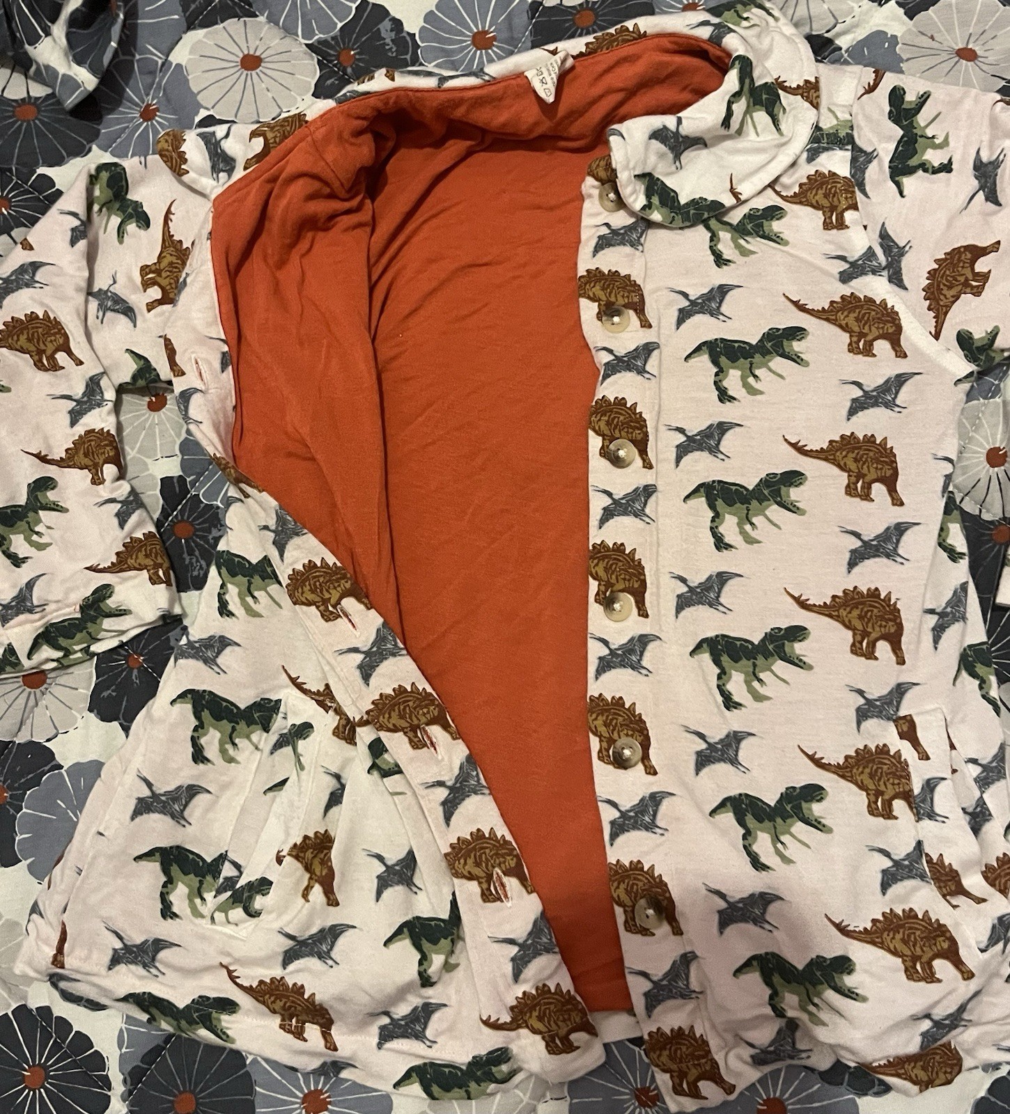 Kate Quinn Girls Size 4t Dinosaur Pants Jacket Set FREE SHIPPING