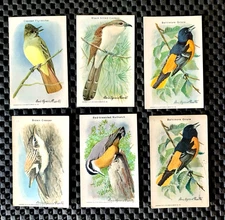 ARM & HAMMER USEFUL BIRDS OF AMERICA TENTH SERIES 6 CARDS CRESTED FLYCATCHER #3