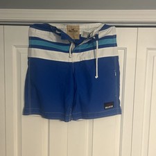 Hollister Board Swim Shorts Trunks Mens Blue Striped - Large