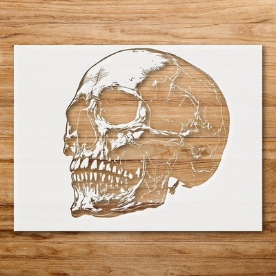 Human Skull Wall Art Reusable Plastic Stencil Physical Product - StencilAir