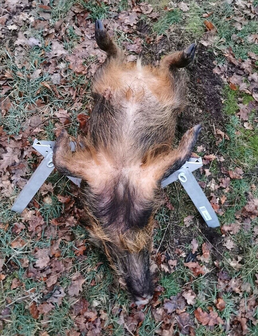 Wildgalgen am Boden :) , Aufbrechhilfe, Fixiergestell K100.11-15, kein Umkippen