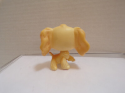 garçon épagneul chien 54715432 PNG