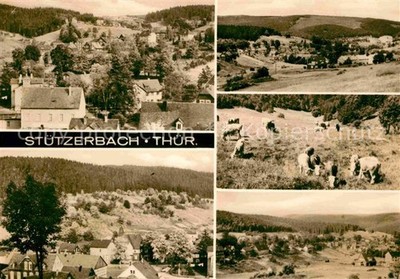 Stuetzerbach partial views landscape panorama cattle pasture cows