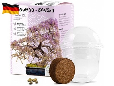 GROW2GO Bonsai Starter Kit Anzuchtset - Pflanzset aus Mini-Gewächshaus, Samen 