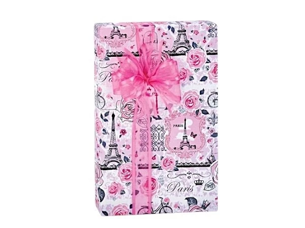 PARIS PINK Print Design 24" Gift WRAPPING Paper Choose Length Amount - Image 2 of 2