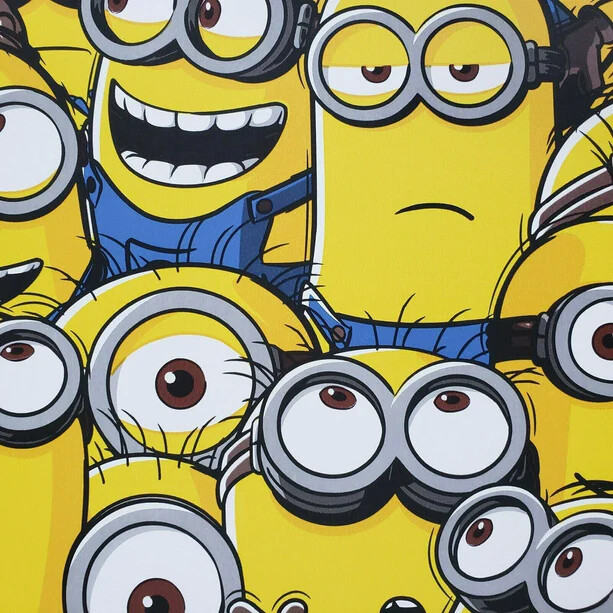 Minion Despicable Me 2 Wallpaper