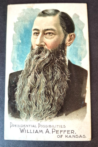 1888 N124 Duke #22 William A. Peffer — Raw