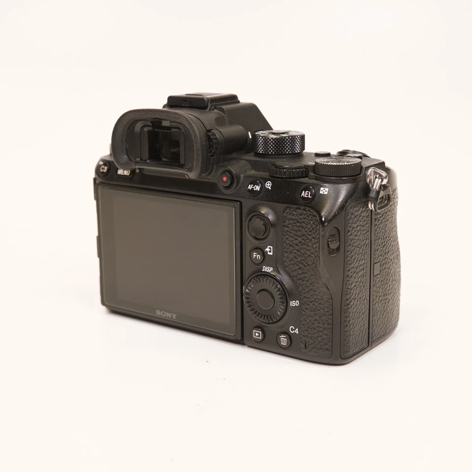 Sony Alpha 7R III, foto 3 di 4