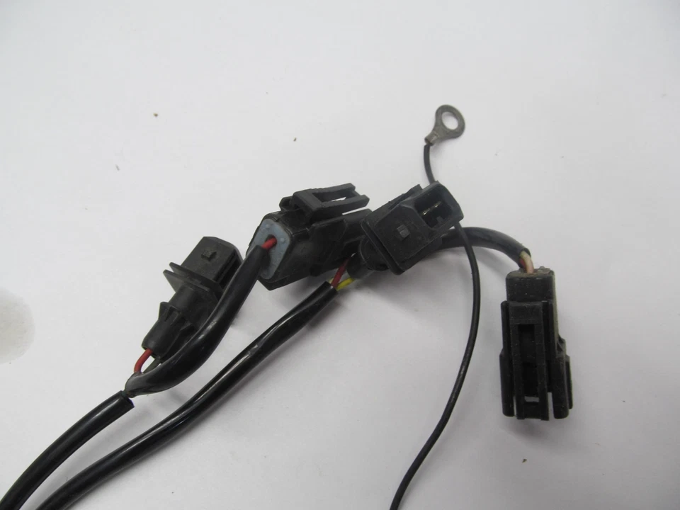 Harley Davidson Softail Fatboy 2007 personalizado FXSTC mercado de accesorios controlador de combustible Foto 3 de 4