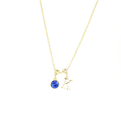 Personalized Necklace with Custom Birthstone & Initial Charms in Gold or Silver