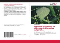 Catalina VéLez | Aspectos AnatóMicos De PláNtulas De Phaseolus Vulgaris L.,
