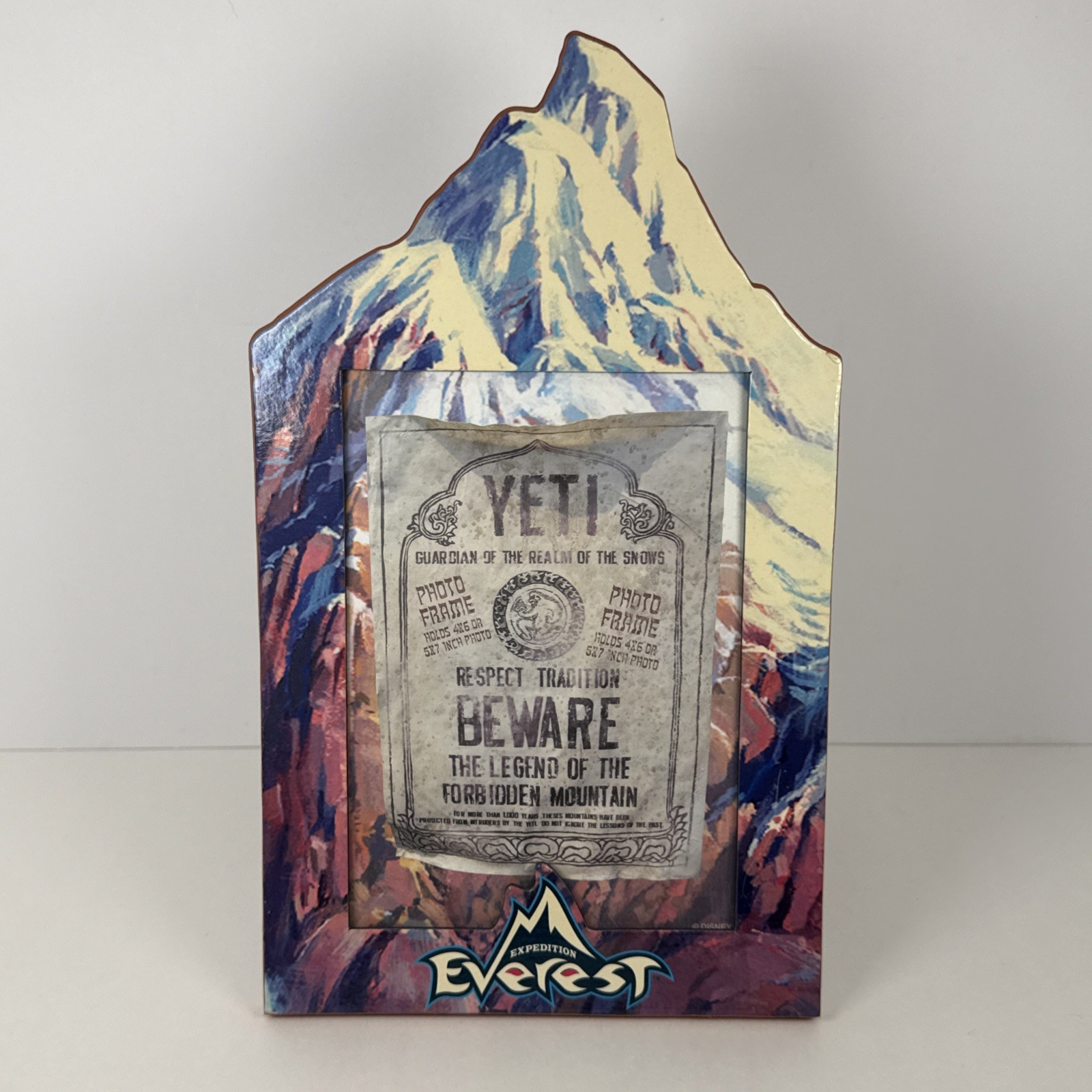 Expedition Everest Disney World Parks Animal Kingdom Mountain Picture Frame