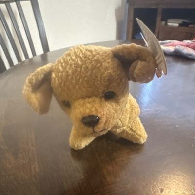 Ty Beanie Babies Dog Plush Toy 2023 Current Edition for Ages 3-7 Years, 3-4, 4-7