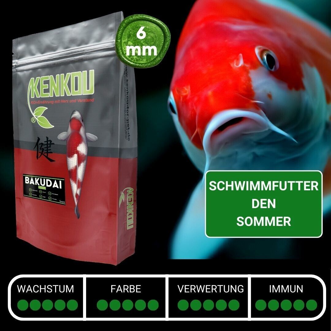 Bild 2 von 10
