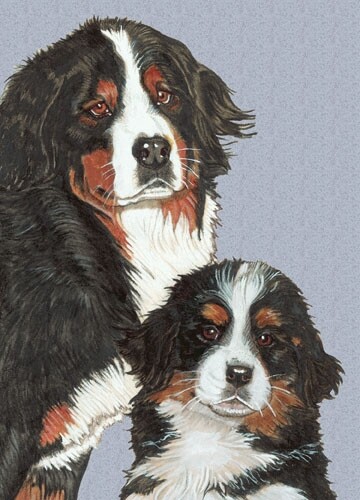 Bernese Mountain Dog Blank Note Card - Picture 1 of 1