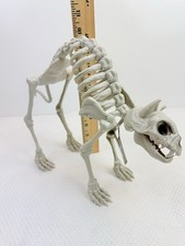 Seasons Halloween Cat Skeleton Prop Posable Tail Movable Jaw Spooky Decor