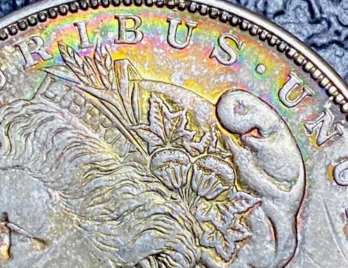 111 💎 1921-D Morgan Silver Dollar Micro D Mint RAINBOW TONER NT