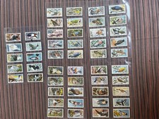 1957 Bird Portraits Trade Cards Brooke Bond Tea PG Tips Full Set 50 With Address