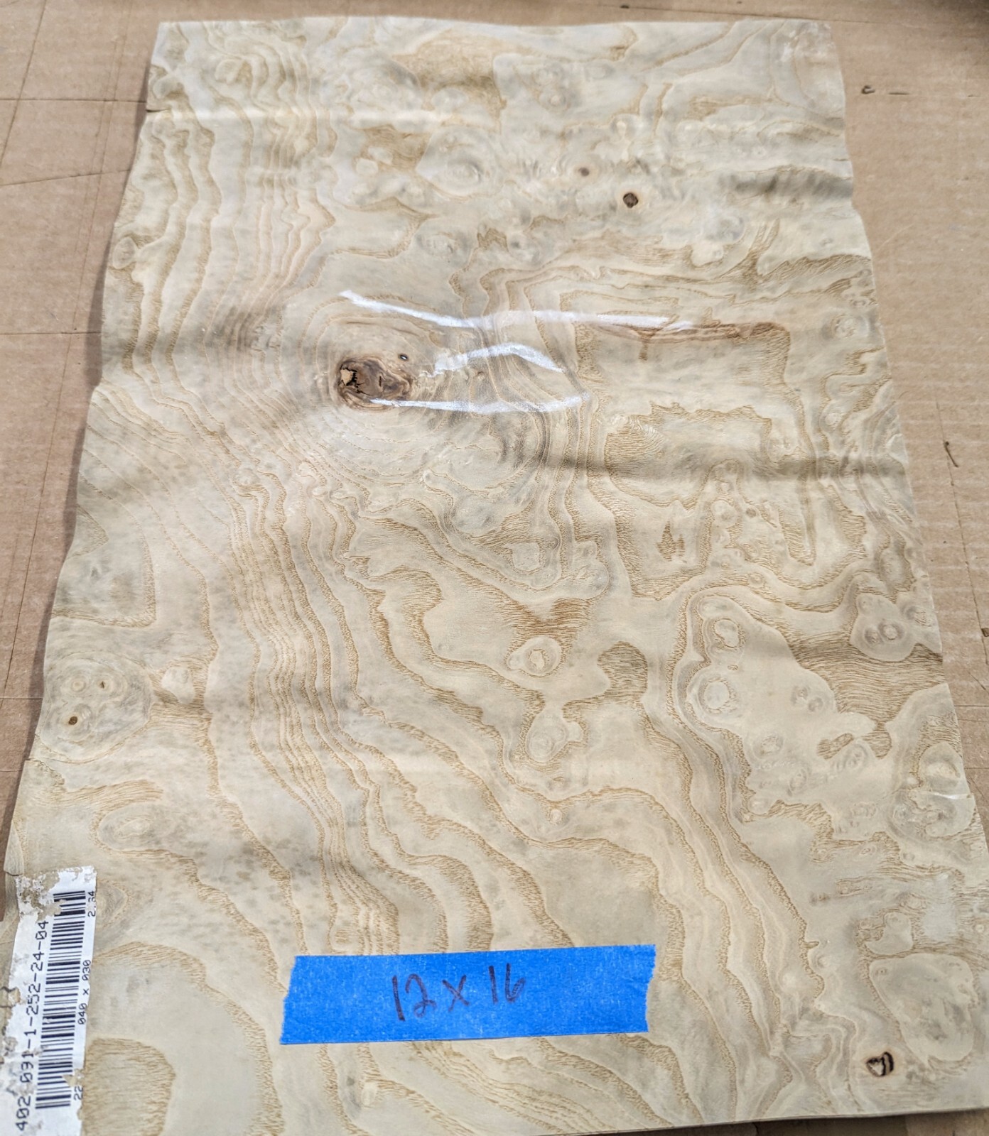 White Ash Burl wood veneer 12" x 16" raw no backing 1/42" thickness AA
