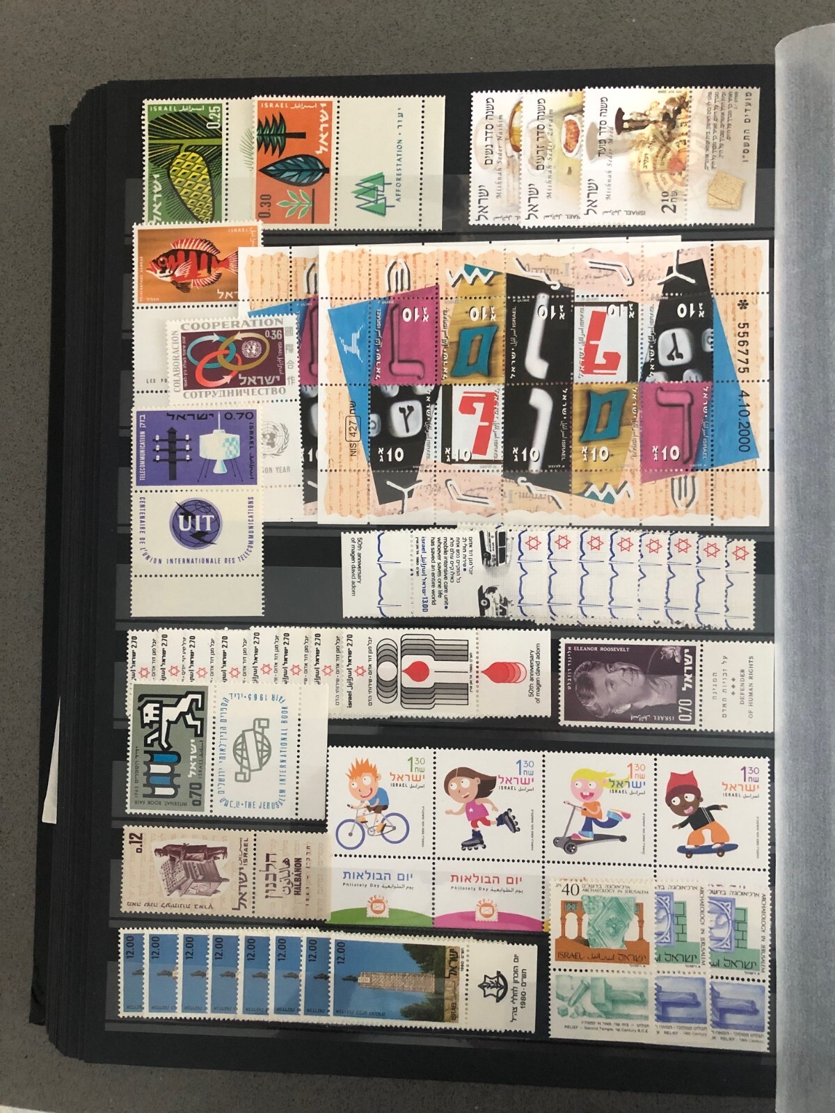Picture 6 of 16