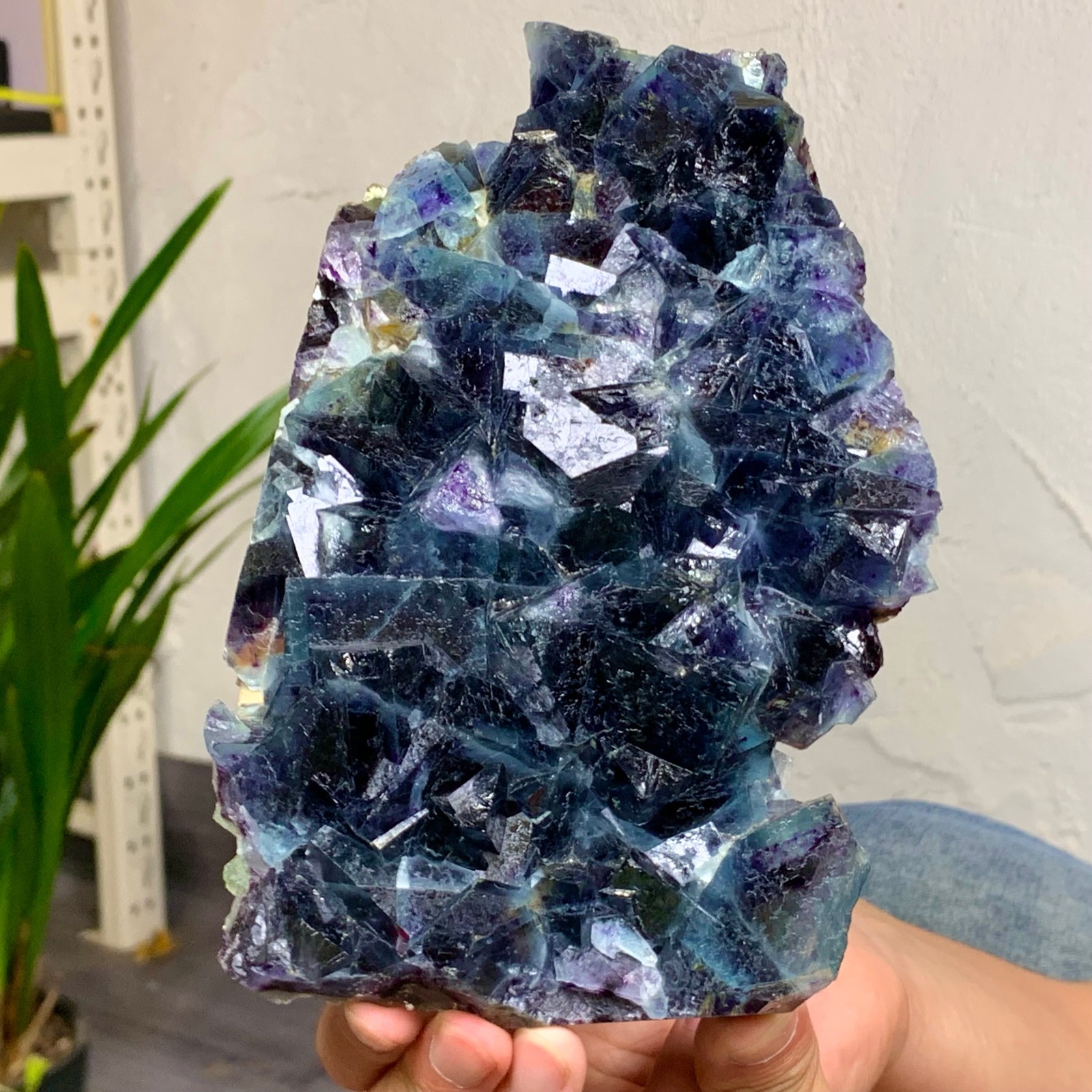 3.49LB Rare Transparent Blue Purple Cubic Fluorite Crystal Specimen from China
