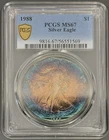 1988 PCGS MS67 American Silver Eagle Dollar $1 - Blue Toned