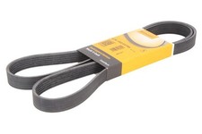 Keilrippenriemen CONTINENTAL 6PK1502 EXTRA