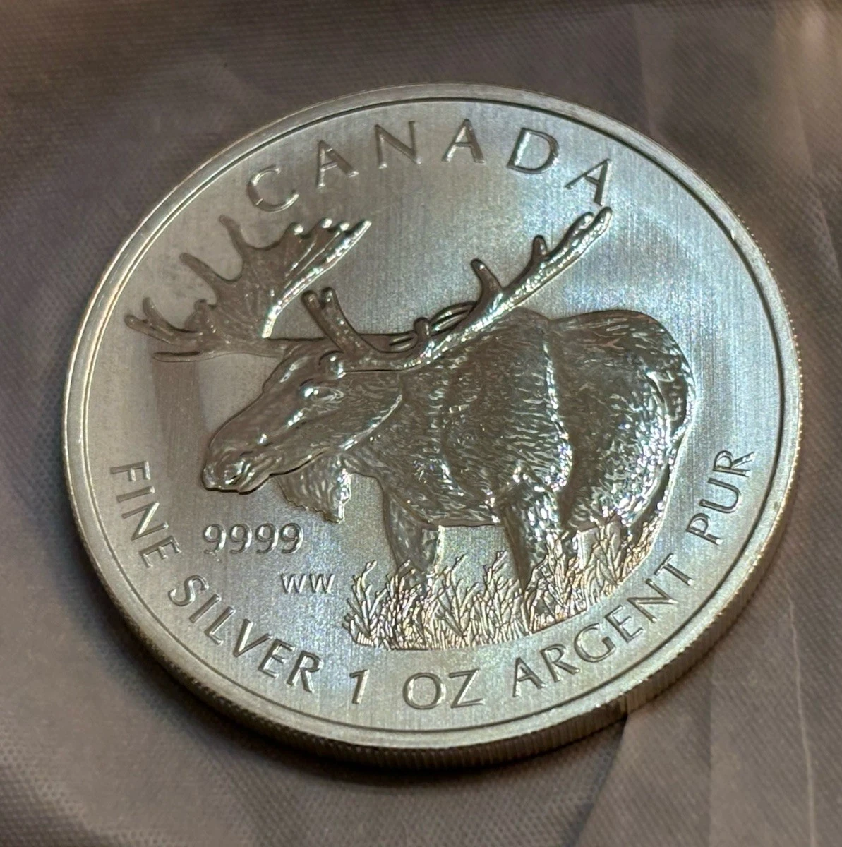 Canadian Maple Leaf 2012 Silver Bullion Coins for sale | eBay