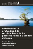 Busari Ibrahim (U. A.) | VariacióN De La Profundidad De Recubrimiento De Los...