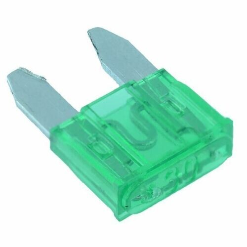 New 10Pcs 30A Amp Mini Blade Fuse for Auto Car Truck Vehicle Assorted Fuse Kit - Bild 1 von 1