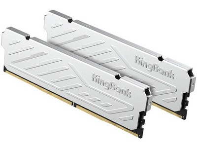KingBank Computer Desktop Memory Ram DDR4 16GB(2×8G), Silver 3600MHZ 
