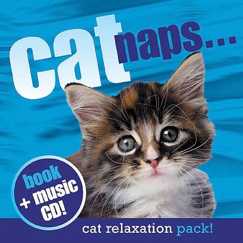 Cat Naps by Hiroki Sakaguchi Music Therapy for Your Cat Relaxation Book CD