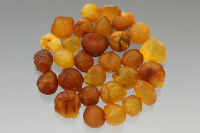 Lot of 29 Natural Rare Drops Genuine BALTIC AMBER Stones Nuggets 10.5g 180110-7