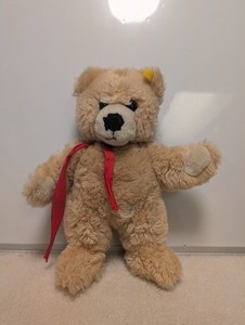 Steiff Bear Molly | eBay