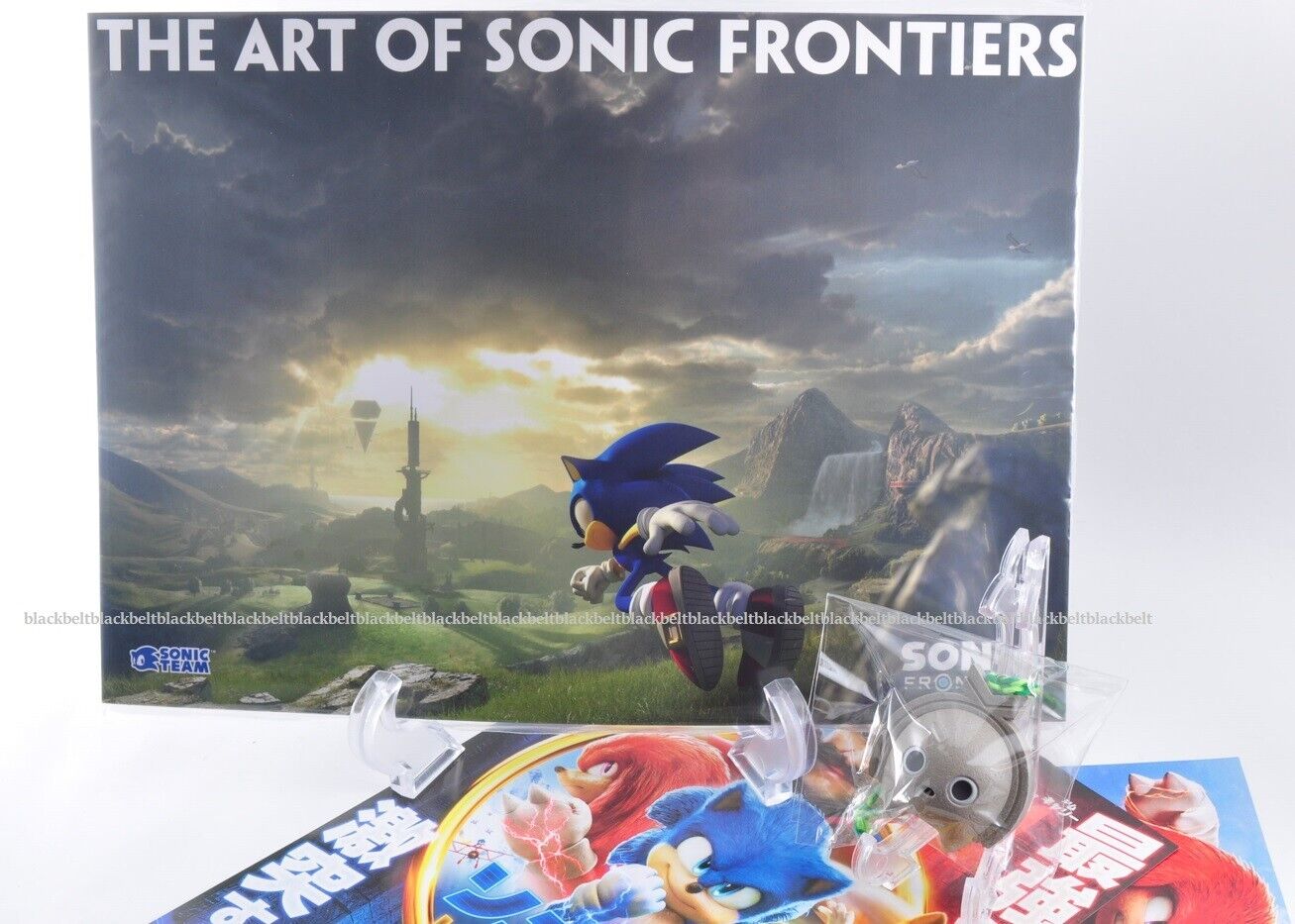  Sonic Frontiers - PlayStation 5 : Sega of America Inc:  Everything Else