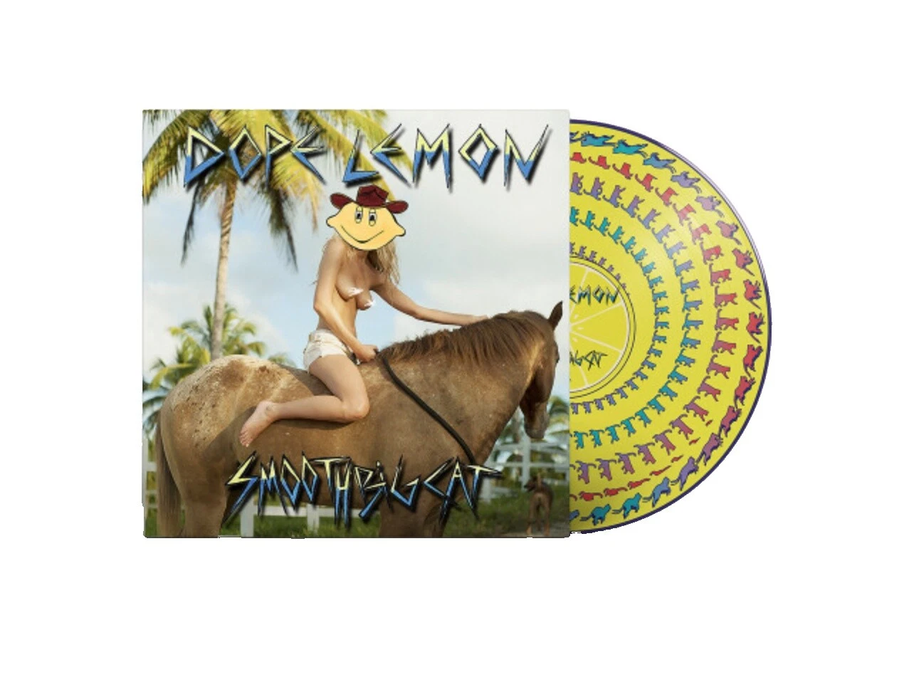 Excellent (EX) Smooth 33 RPM Speed Vinyl Records