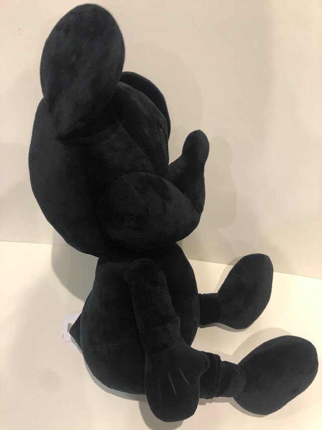 Foto 14 di 17