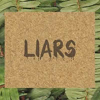 Liars - Tfcf 420 Estuary Angler Edition - Vinyl Record - F123Z