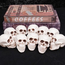 10Pieces Halloween Skeleton Head Small Mini Skulls Halloween Party Skull Decors